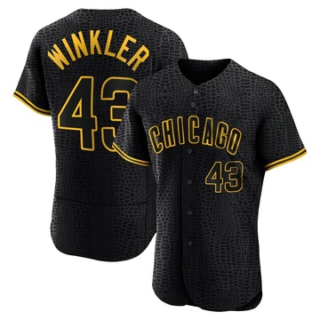 Black Authentic Dan Winkler Men's Chicago Cubs Snake Skin City Jersey