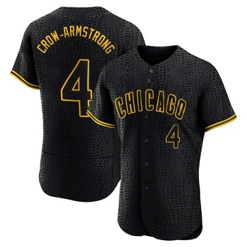 Black Authentic Pete Crow-Armstrong Men's Chicago Cubs Snake Skin City Jersey