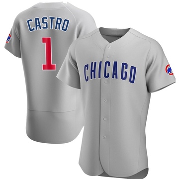 Gray Authentic Willi Castro Men's Chicago Cubs Road Jersey